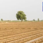 ڈاکٹر آکاش قتل کیس میں گرفتار 3 ملزمان میں سے ایک کے متعلق سنسنی خیز انکشافات