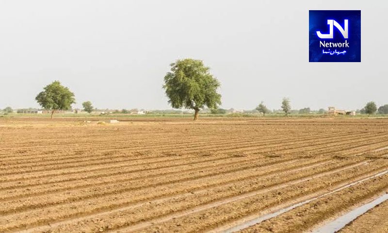 90 ارب کی سرکاری اراضی نجی شعبے کو دینے کی تیاری، سمری پیش کر دی گئی