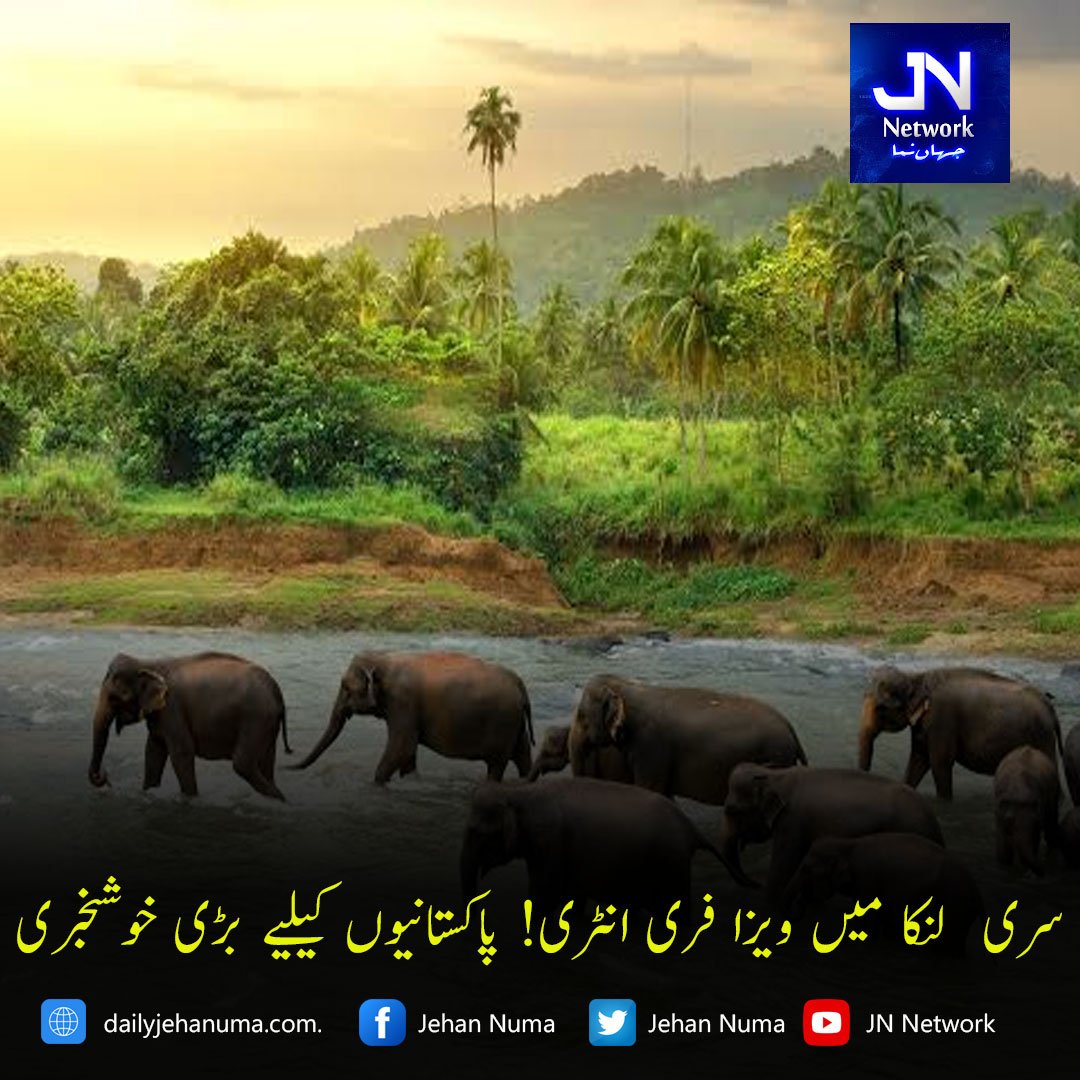 سری لنکا میں ویزا فری انٹری! پاکستانیوں کیلیے بڑی خوشخبری