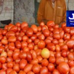 پاکستان کی بھارتی وزیر دفاع کے اشتعال انگیز بیانات کی شدید مذمت
