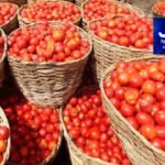 پاکستان سمیت 8 ممالک کی مسجد اقصیٰ میں اسرائیلی وزرا اور آبادکاروں کی اشتعال انگیز کارروائیوں کی مذمت