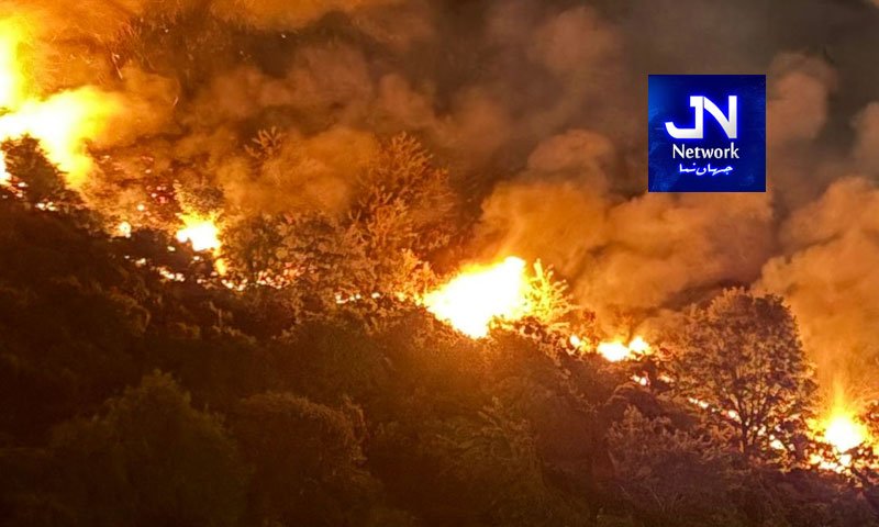 برطانیہ کے ایٹمی پروگرام کے قریب جنگل میں ہولناک آگ