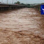 پنجاب میں سرکاری نوکریوں کیلیے درخواستیں طلب