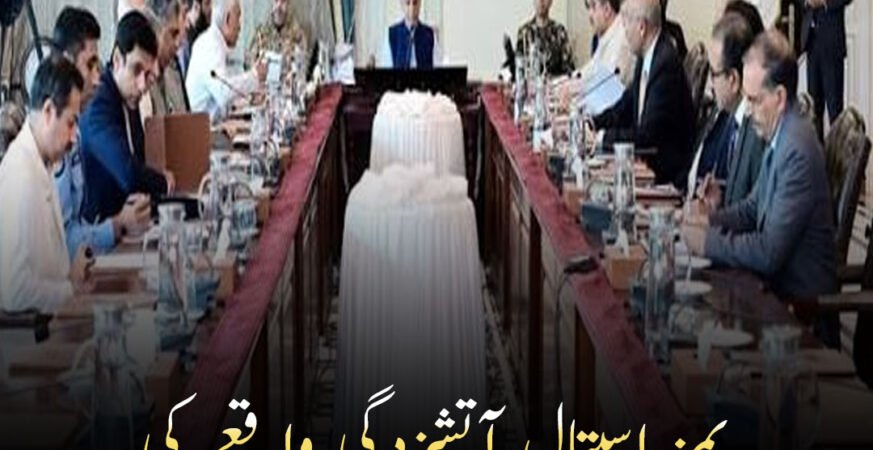 پمز اسپتال آتشزدگی واقعے کی تحقیقات : انکوائری کمیٹی قائم