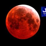 رٹہ سسٹم کا خاتمہ؟ پنجاب میں کنسپٹ بیسڈ لرننگ کی جانب اہم پیشرفت