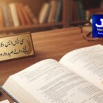یوکرین نے ترک جہاز پر حملہ کر دیا