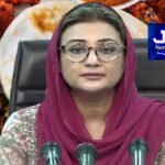 بیورو آف ایمیگریشن نے جعلی ویزا ویب سائٹ سے خبردار کردیا