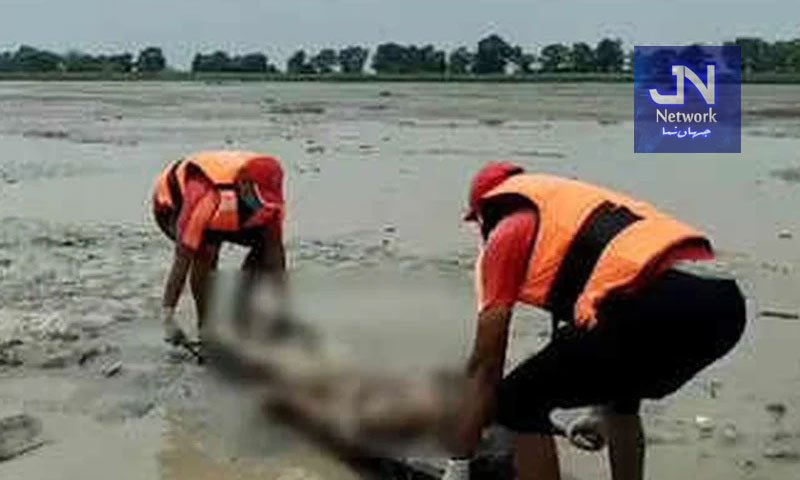 نیپال سیلاب : دریاؤں میں بہتی لاشیں بھارت پہنچ گئیں