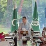 آٹھ سٹیج اداکاراؤں پر ایک ماہ کی پابندی, نوٹیفکیشن جاری