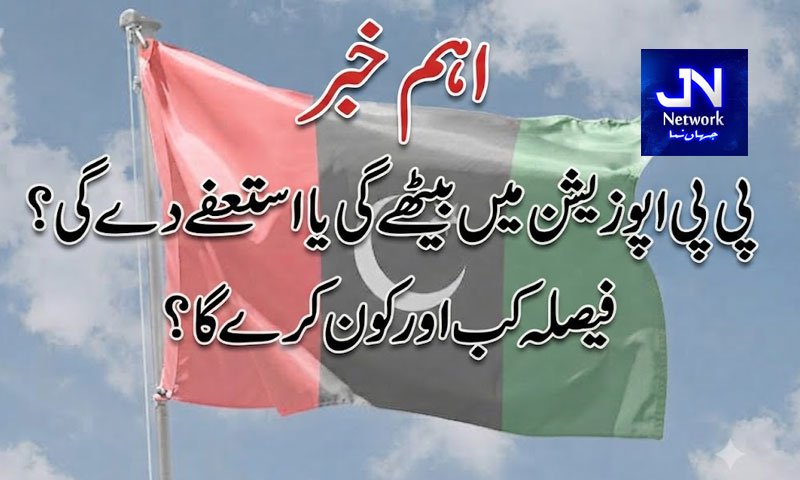 پی پی اپوزیشن میں بیٹھے گی یا استعفے دے گی؟ فیصلہ کب اور کون کرے گا؟ اہم خبر
