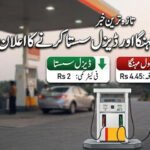 پی پی اپوزیشن میں بیٹھے گی یا استعفے دے گی؟ فیصلہ کب اور کون کرے گا؟ اہم خبر