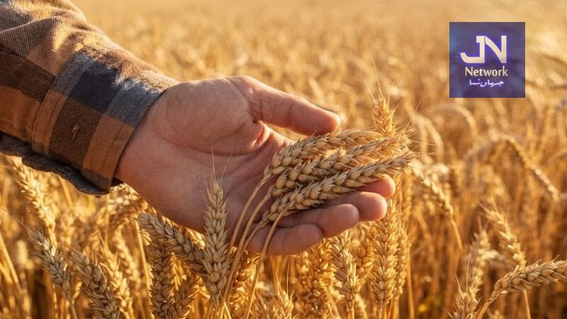 "اپنا کھیت، اپنا روزگار" پروگرام کے لیے 3 ارب 90 کروڑ روپے کی گرانٹ منظور