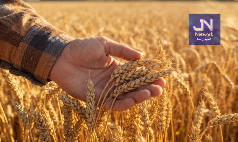  "اپنا کھیت، اپنا روزگار" پروگرام کے لیے 3 ارب 90 کروڑ روپے کی گرانٹ منظور
