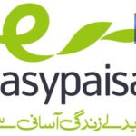 پنجاب میں بغیر لائسنس کمرشل ڈرائیورز کے خلاف بڑا کریک ڈاؤن