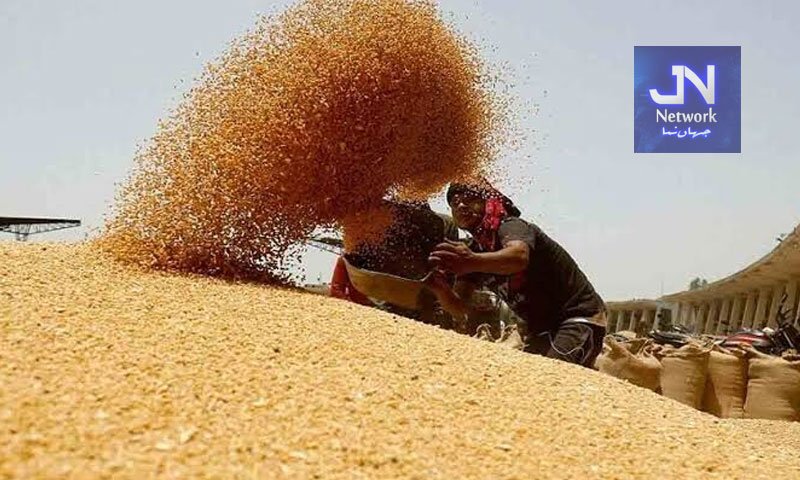 حکومت کا ساڑھے سات لاکھ میٹرک ٹن گندم درآمد کرنے کا فیصلہ
