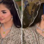 کسی بھی سیاسی جماعت کے پاس سڑکیں بند کرنے کا کوئی اختیار نہیں، عدالت کا بڑا فیصلہ آگیا
