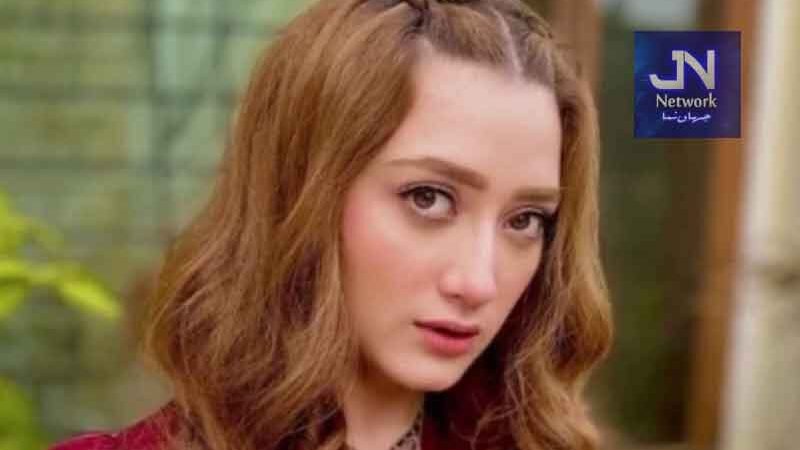 ہمیں جان سے مارنے کیلئے شوٹرز کا انتظام کیا جا رہا ہے: مومنہ اقبال کے شوہر کا الزام