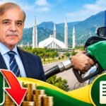  جمہوریت ایک مسلسل سفر ہے جس کی منزل متوازن فلاحی معاشرہ ہے:مریم نواز