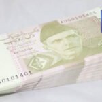 وزیراعلیٰ مریم نواز شریف کی ملتان آمد،ملتان الیکٹروبس سروس کا افتتاح کردیا