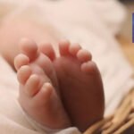 پاکستان کے پہلے وائلڈ لائف ہسپتال کی تعمیر مکمل، 12 آپریشن تھیٹرز قائم